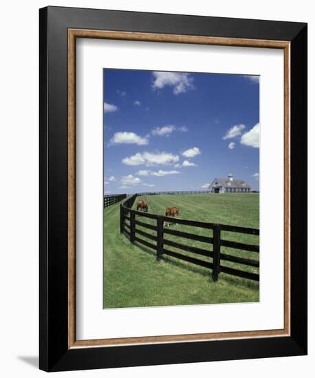 Thoroughbred in the Countryside, Kentucky, USA-Michele Molinari-Framed Photographic Print