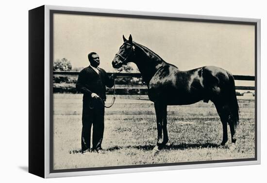 Thoroughbred racehorse, Man O' War, c1920-Unknown-Framed Premier Image Canvas