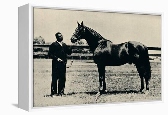 Thoroughbred racehorse, Man O' War, c1920-Unknown-Framed Premier Image Canvas