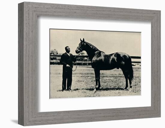 Thoroughbred racehorse, Man O' War, c1920-Unknown-Framed Photographic Print