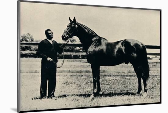 Thoroughbred racehorse, Man O' War, c1920-Unknown-Mounted Photographic Print