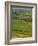 Thorpe Cloud, Dovedale, Peak District National Park, Derbyshire, England, UK-Charles Bowman-Framed Photographic Print