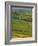 Thorpe Cloud, Dovedale, Peak District National Park, Derbyshire, England, UK-Charles Bowman-Framed Photographic Print