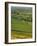Thorpe Cloud, Dovedale, Peak District National Park, Derbyshire, England, UK-Charles Bowman-Framed Photographic Print