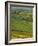 Thorpe Cloud, Dovedale, Peak District National Park, Derbyshire, England, UK-Charles Bowman-Framed Photographic Print