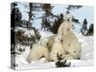 Stretched Canvas Print