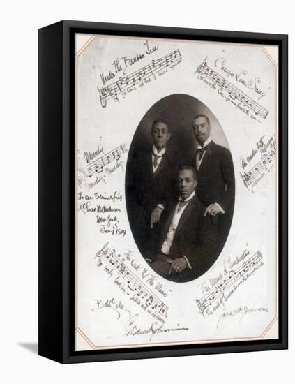 Those Ebony Offenbachs, Johnson Brothers and Cole-Science Source-Framed Premier Image Canvas