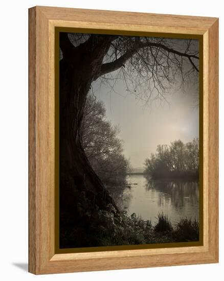 Thoughtbird-Tim Kahane-Framed Premier Image Canvas