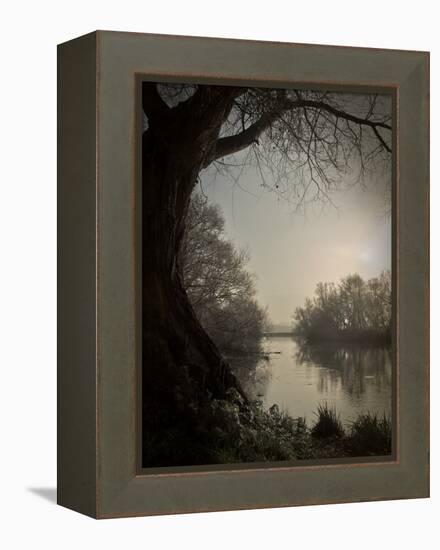 Thoughtbird-Tim Kahane-Framed Premier Image Canvas