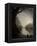 Thoughtbird-Tim Kahane-Framed Premier Image Canvas