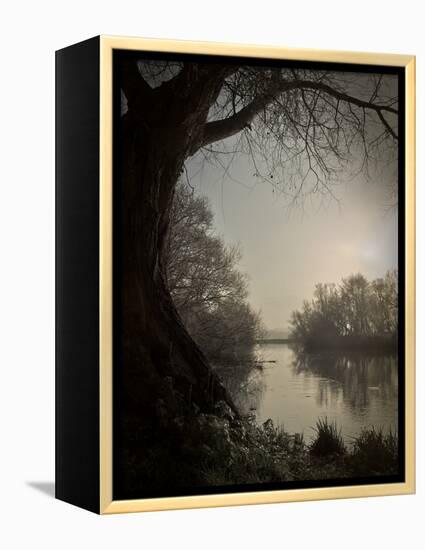 Thoughtbird-Tim Kahane-Framed Premier Image Canvas