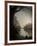 Thoughtbird-Tim Kahane-Framed Photographic Print