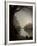 Thoughtbird-Tim Kahane-Framed Photographic Print