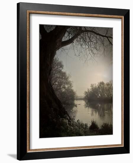 Thoughtbird-Tim Kahane-Framed Photographic Print