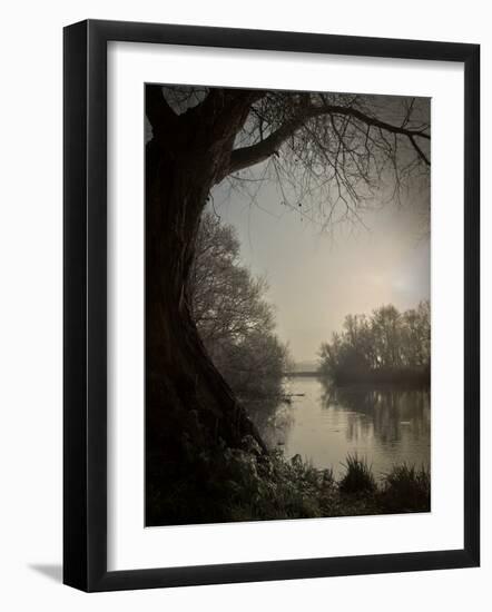 Thoughtbird-Tim Kahane-Framed Photographic Print