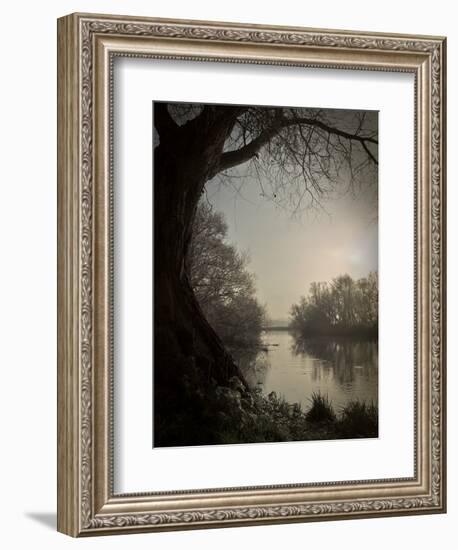 Thoughtbird-Tim Kahane-Framed Photographic Print