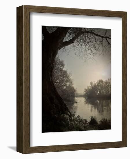 Thoughtbird-Tim Kahane-Framed Photographic Print