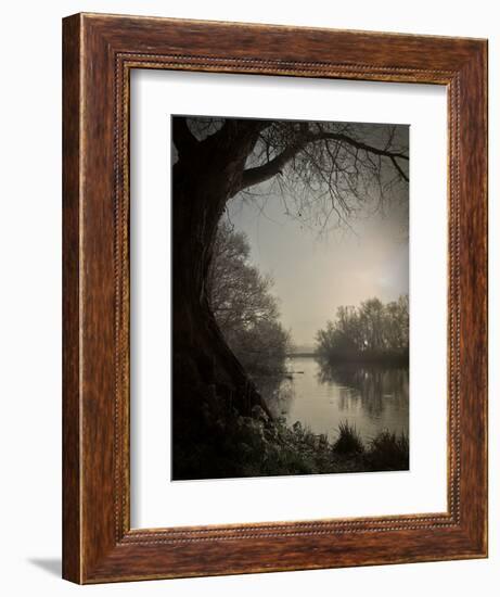 Thoughtbird-Tim Kahane-Framed Photographic Print