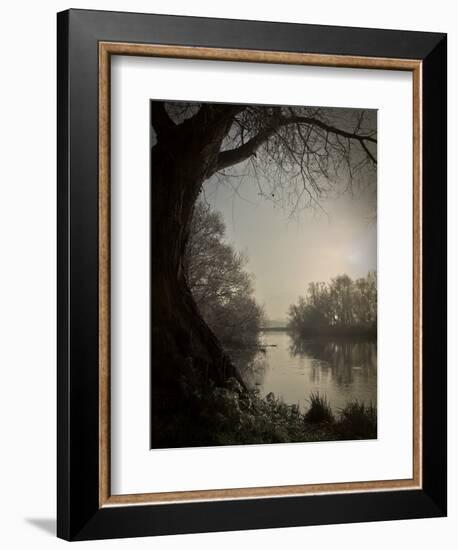 Thoughtbird-Tim Kahane-Framed Photographic Print