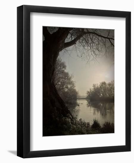 Thoughtbird-Tim Kahane-Framed Photographic Print