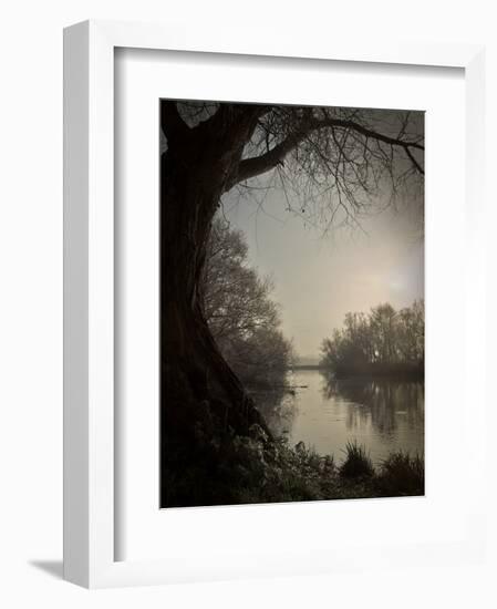 Thoughtbird-Tim Kahane-Framed Photographic Print