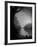 Thoughtbird-Tim Kahane-Framed Photographic Print