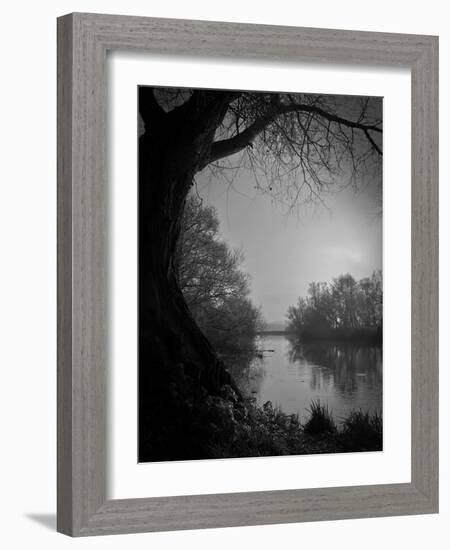 Thoughtbird-Tim Kahane-Framed Photographic Print