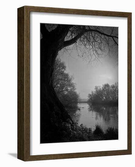 Thoughtbird-Tim Kahane-Framed Photographic Print