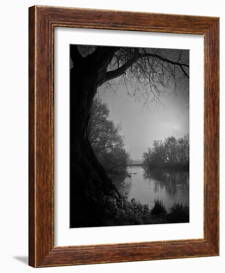 Thoughtbird-Tim Kahane-Framed Photographic Print