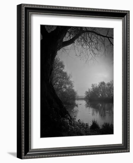 Thoughtbird-Tim Kahane-Framed Photographic Print