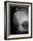 Thoughtbird-Tim Kahane-Framed Photographic Print