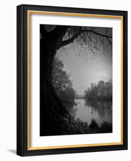 Thoughtbird-Tim Kahane-Framed Photographic Print