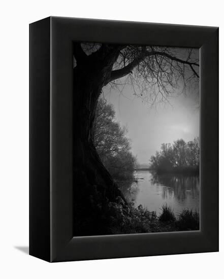 Thoughtbird-Tim Kahane-Framed Premier Image Canvas