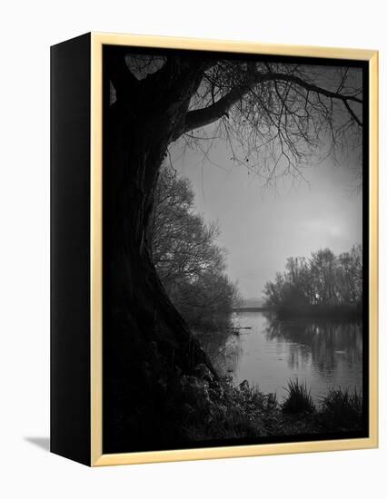 Thoughtbird-Tim Kahane-Framed Premier Image Canvas