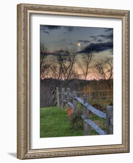 Thoughtfire-Jim Crotty-Framed Photographic Print