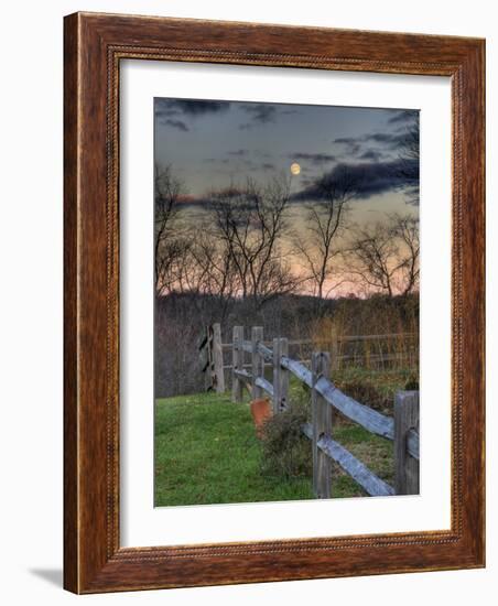 Thoughtfire-Jim Crotty-Framed Photographic Print