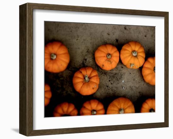 Thoughtfly-Tim Kahane-Framed Photographic Print