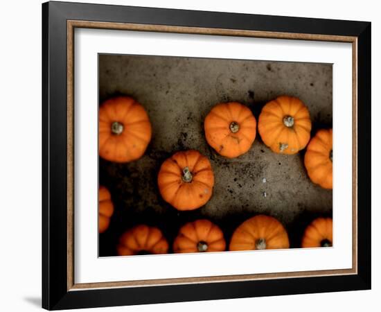 Thoughtfly-Tim Kahane-Framed Photographic Print