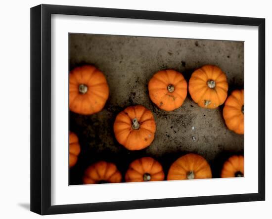 Thoughtfly-Tim Kahane-Framed Photographic Print