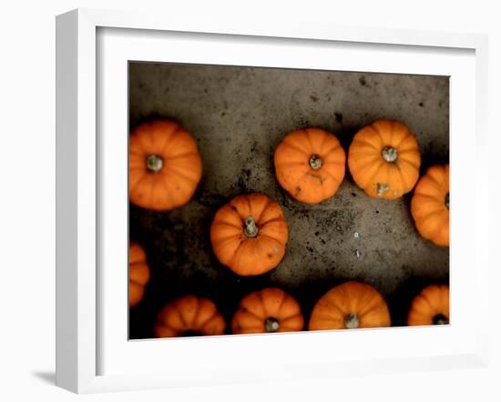 Thoughtfly-Tim Kahane-Framed Photographic Print