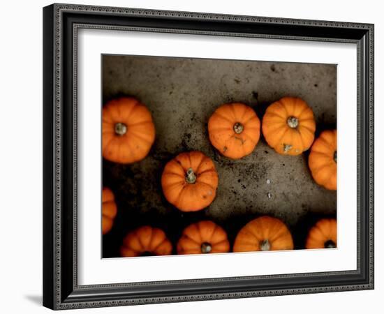 Thoughtfly-Tim Kahane-Framed Photographic Print