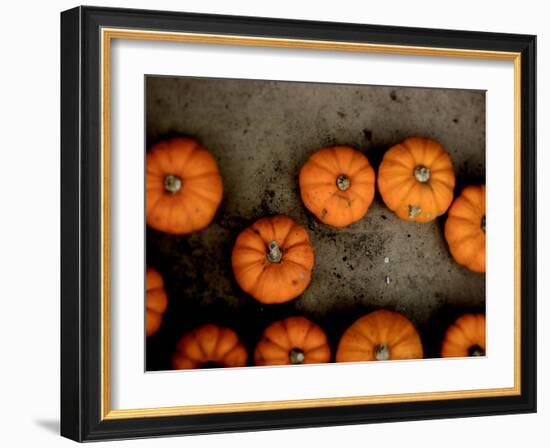 Thoughtfly-Tim Kahane-Framed Photographic Print