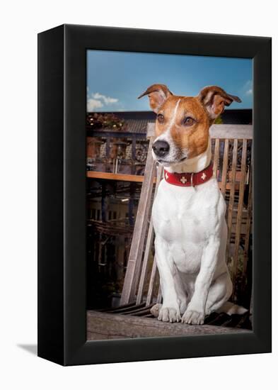 Thoughtful Dog-Javier Brosch-Framed Premier Image Canvas