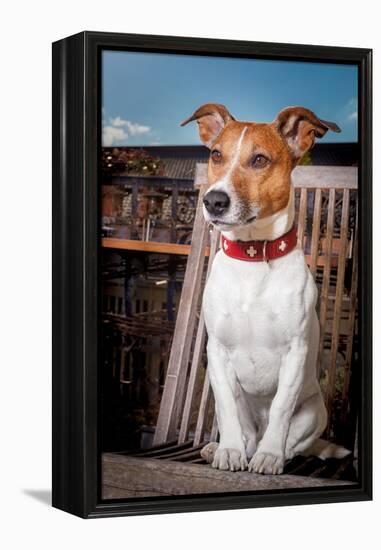 Thoughtful Dog-Javier Brosch-Framed Premier Image Canvas