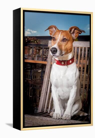 Thoughtful Dog-Javier Brosch-Framed Premier Image Canvas