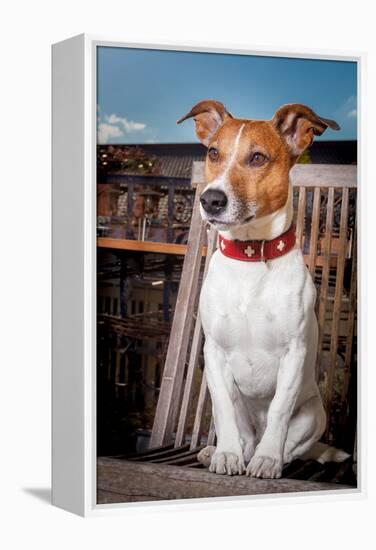 Thoughtful Dog-Javier Brosch-Framed Premier Image Canvas