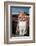 Thoughtful Dog-Javier Brosch-Framed Photographic Print