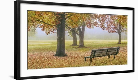 Thoughtful Spot-Donald Satterlee-Framed Giclee Print