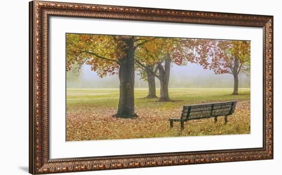 Thoughtful Spot-Donald Satterlee-Framed Giclee Print