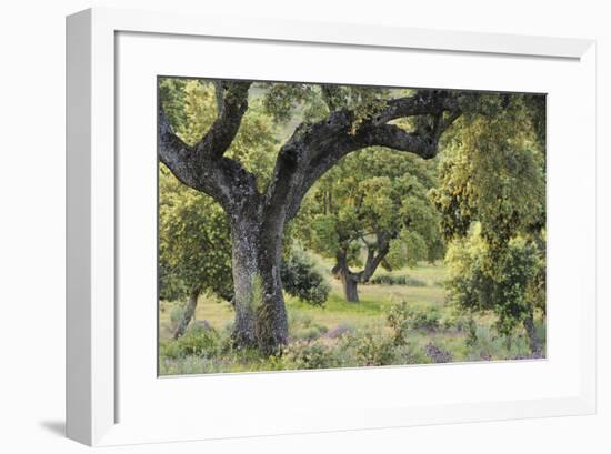 Thoughtful Wander-Staffan Widstrand-Framed Giclee Print